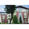 Клинкерная плитка King Klinker 04 Wild wine, RF 250*65*10 мм цена в Москве