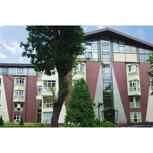 Клинкерная плитка King Klinker 04 Wild wine, RF 250*65*10 мм
