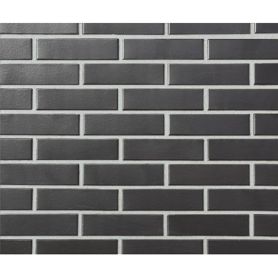 Облицовочный кирпич LODE Carbon, RF 250x120x65 мм цена в Москве