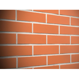 Клинкерная плитка Feldhaus Klinker R480NF terreno liso, NF9 240*71*9 мм