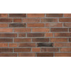 Клинкерный кирпич Petersen Tegl Bricks D36, DNF 228x108x54 мм цена в Москве Клинкерный кирпич Petersen Tegl Bricks D36, DNF 228x108x54 мм цена в Москве