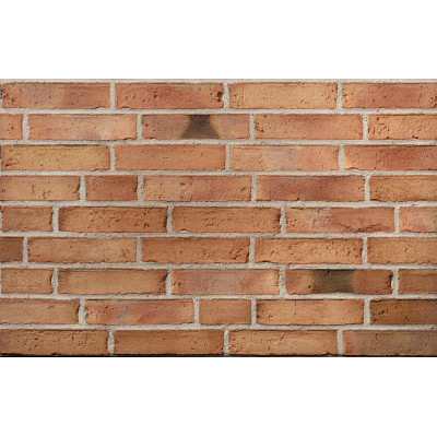 Клинкерный кирпич Petersen Tegl Bricks D37, DNF 228x108x54 мм цена в Москве