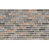 Клинкерный кирпич Petersen Tegl Bricks D137, DNF 228x108x54 мм цена в Москве