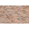 Клинкерный кирпич Petersen Tegl Bricks D36, DNF 228x108x54 мм цена в Москве