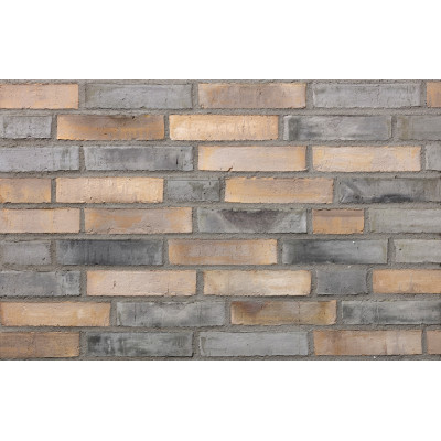 Клинкерный кирпич Petersen Tegl Bricks D81 Musching D72/D91, DNF 228x108x54 мм цена в Москве