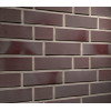 Клинкерный кирпич Feldhaus Klinker K388NF cerasi ferrum liso, NF 240x115x71 мм цена в Москве