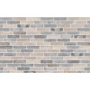 Клинкерный кирпич Petersen Tegl Bricks D81 Musching D72/D91, DNF 228x108x54 мм цена в Москве