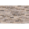 Клинкерный кирпич Petersen Tegl Bricks D73 Gelb-Grau, DNF 228x108x54 мм цена в Москве