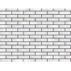 Облицовочный кирпич RECKE BRICKEREI (Россия) Glanz 1-18-00-0-00 1NF, 250x120x65 мм цена в Москве
