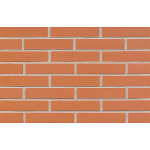 Клинкерная плитка для фасада Feldhaus Klinker R220DF9 terracotta liso, DF9 240*52*9 мм