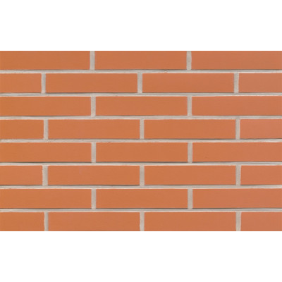 Клинкерная плитка для фасада Feldhaus Klinker R220DF9 terracotta liso, DF9 240*52*9 мм цена в Москве