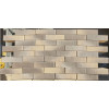 Облицовочный кирпич RECKE BRICKEREI (Россия) 1-81-00-2-00 0.7NF, 250x85x65 мм цена в Москве