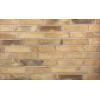 Клинкерный кирпич Petersen Tegl Bricks D32, DNF 228x108x54 мм цена в Москве