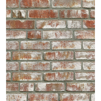 Клинкерный кирпич Roben GEESTBRAND bunt-weiss, NF 240*115*71 мм цена в Москве