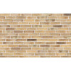 Клинкерный кирпич Petersen Tegl Bricks D32, DNF 228x108x54 мм цена в Москве