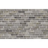Клинкерный кирпич Petersen Tegl Bricks D29, DNF 228x108x54 мм цена в Москве