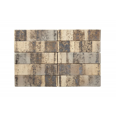 Облицовочный кирпич RECKE BRICKEREI (Россия) 1-81-00-2-12 1NF, 250x120x65 мм цена в Москве