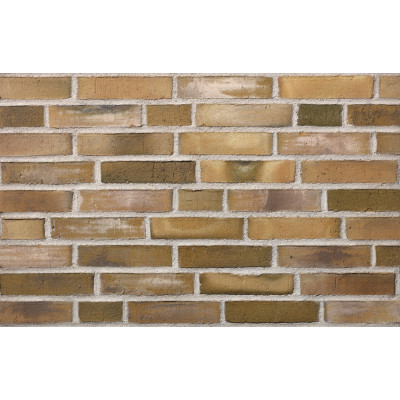 Клинкерный кирпич Petersen Tegl Bricks D42 Grun/Gelb mit Weis, DNF 228x108x54 мм цена в Москве