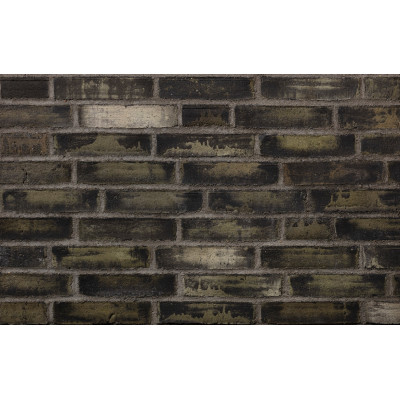 Клинкерный кирпич Petersen Tegl Bricks D97 Rd Grau/Grun, DNF 228x108x54 мм цена в Москве