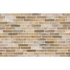 Клинкерный кирпич Petersen Tegl Bricks D42 Grun/Gelb mit Weis, DNF 228x108x54 мм цена в Москве
