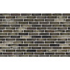 Клинкерный кирпич Petersen Tegl Bricks D97 Rd Grau/Grun, DNF 228x108x54 мм цена в Москве