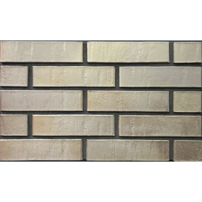 Облицовочный кирпич RECKE BRICKEREI (Россия) 5-74-00-2-00 1NF, 250x120x65 мм цена в Москве