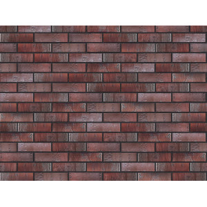 Облицовочный кирпич RECKE BRICKEREI (Россия) Krator 5-92-00-2-12 0.7NF, 250x85x65 мм