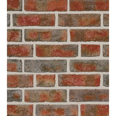 Клинкерный кирпич Roben FORMBACK buntgeflammt, NF 240*115*71 мм цена в Москве