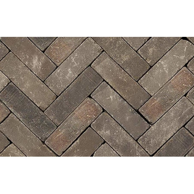 Клинкерная брусчатка Penter Pastorale tumbled, 200x65x65 мм цена в Москве