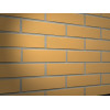 Клинкерная плитка Feldhaus Klinker R200NF amari liso, NF9 240*71*9 мм цена в Москве