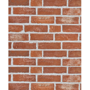 Клинкерная плитка ручной формовки WK-961 Westerwalder Klinker, WDF 215*65*22 мм
