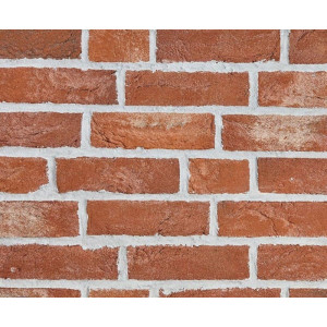 Клинкерная плитка ручной формовки WK-965 Westerwalder Klinker, WDF 215*65*22 мм